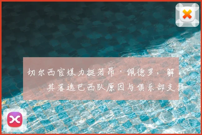 切尔西官媒力挺若昂·佩德罗，解析其落选巴西队原因与俱乐部支持内幕