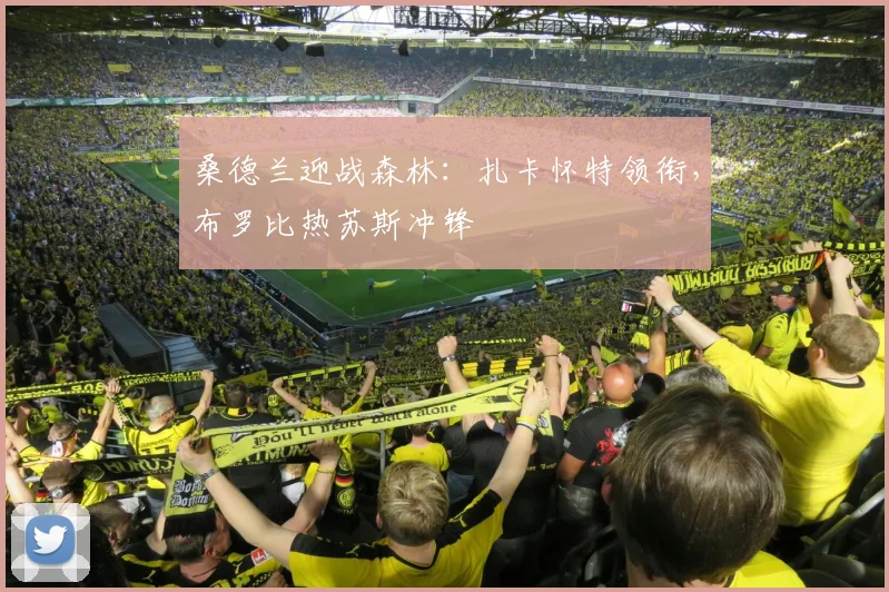 桑德兰迎战森林：扎卡怀特领衔，布罗比热苏斯冲锋